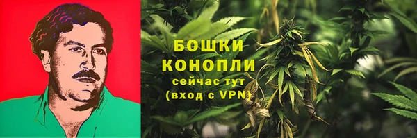 амф Саяногорск