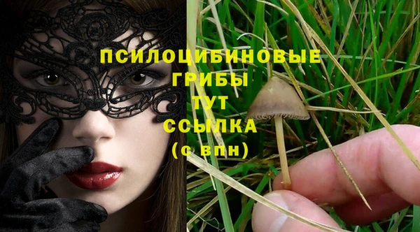 герыч Сафоново