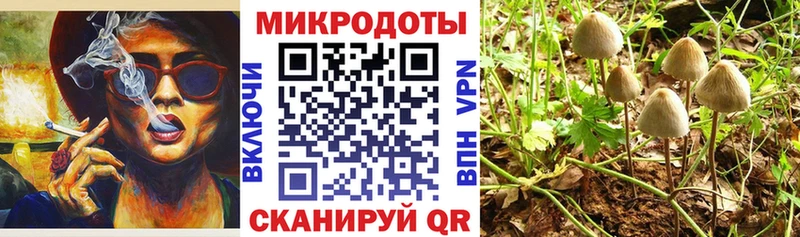 MEGA онион  Тырныауз  Галлюциногенные грибы Magic Shrooms 